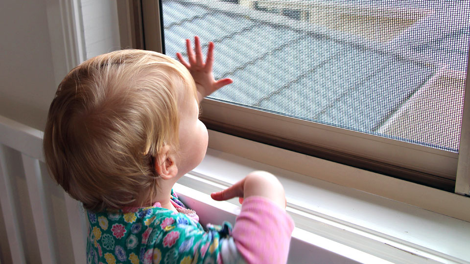 HOW CAN A CHILD HARM HIMSELF WITH AN INSECT SCREEN? HOW CAN A CHILD HARM HIMSELF WITH AN INSECT SCREEN?